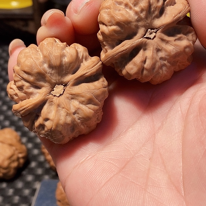 吊坠文玩核桃蛤馍，边肚39