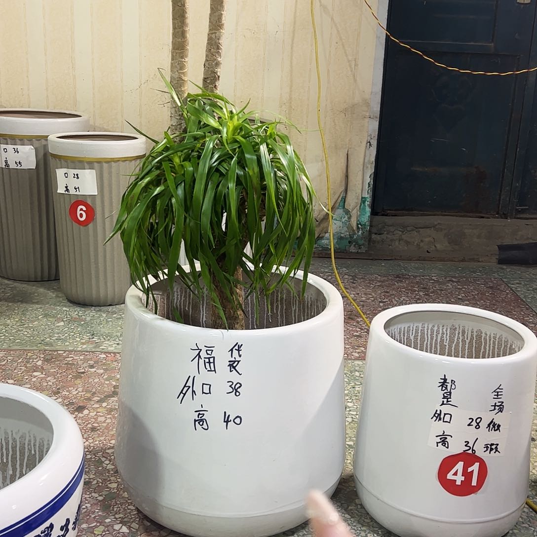 陶瓷陶瓷大花盆 