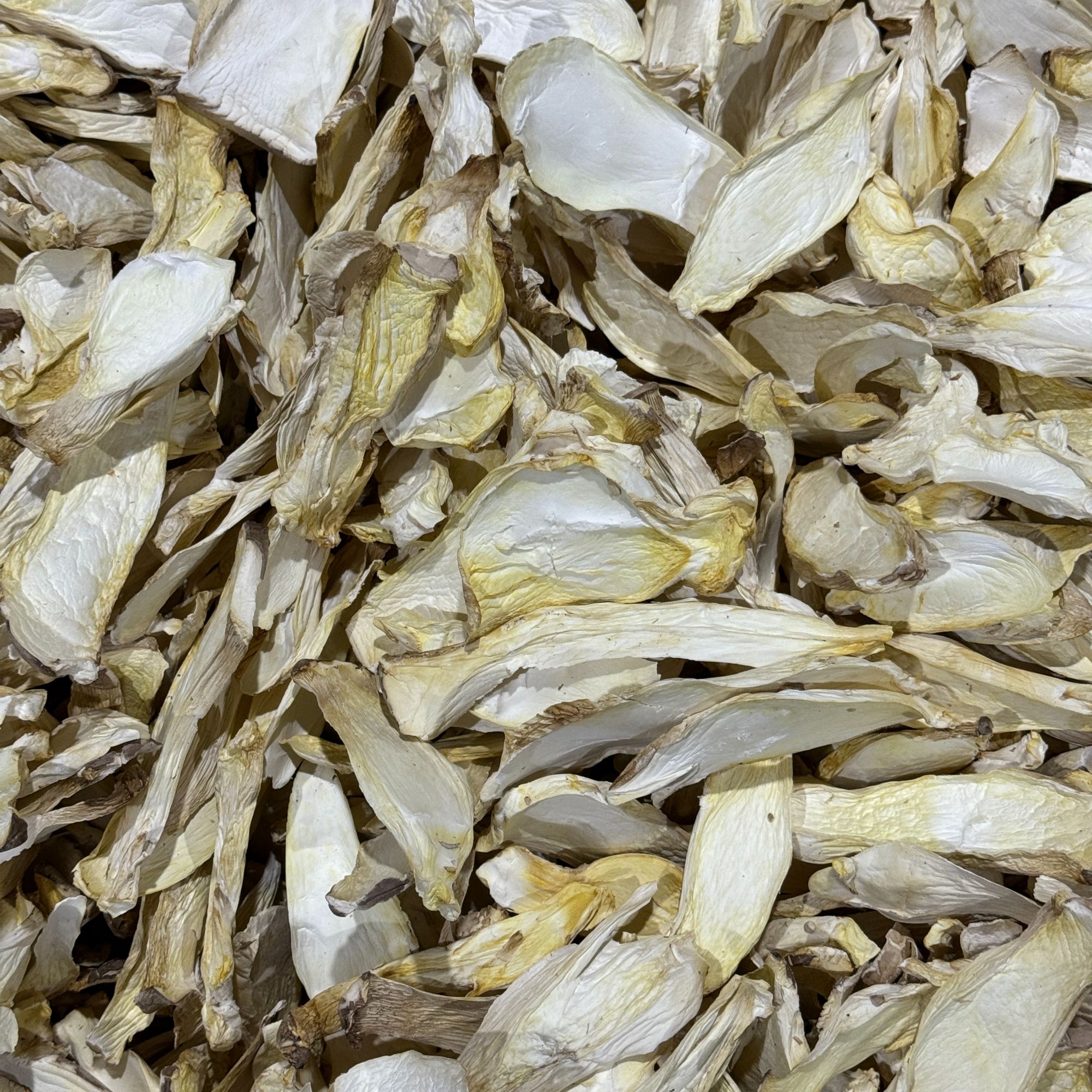 当季精品山货杏鲍菇片炒菜煲汤干货