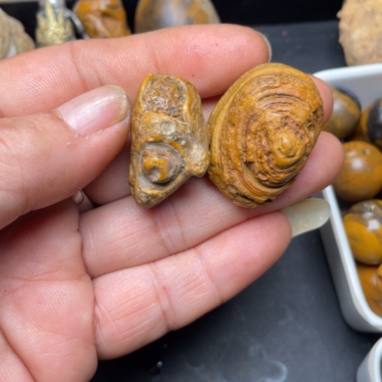 石材纯天然原石奇石325