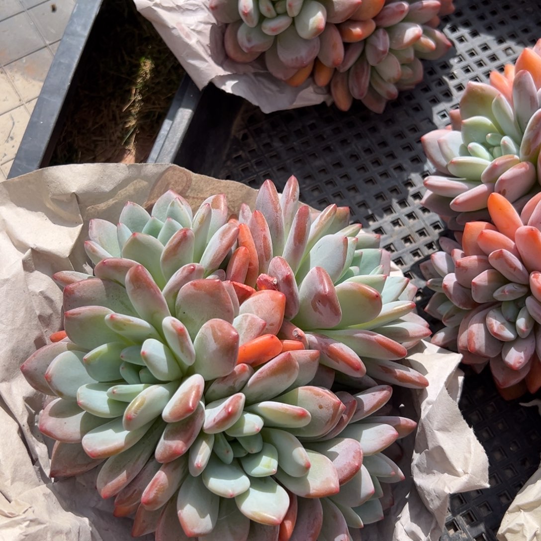 121111111111111111111