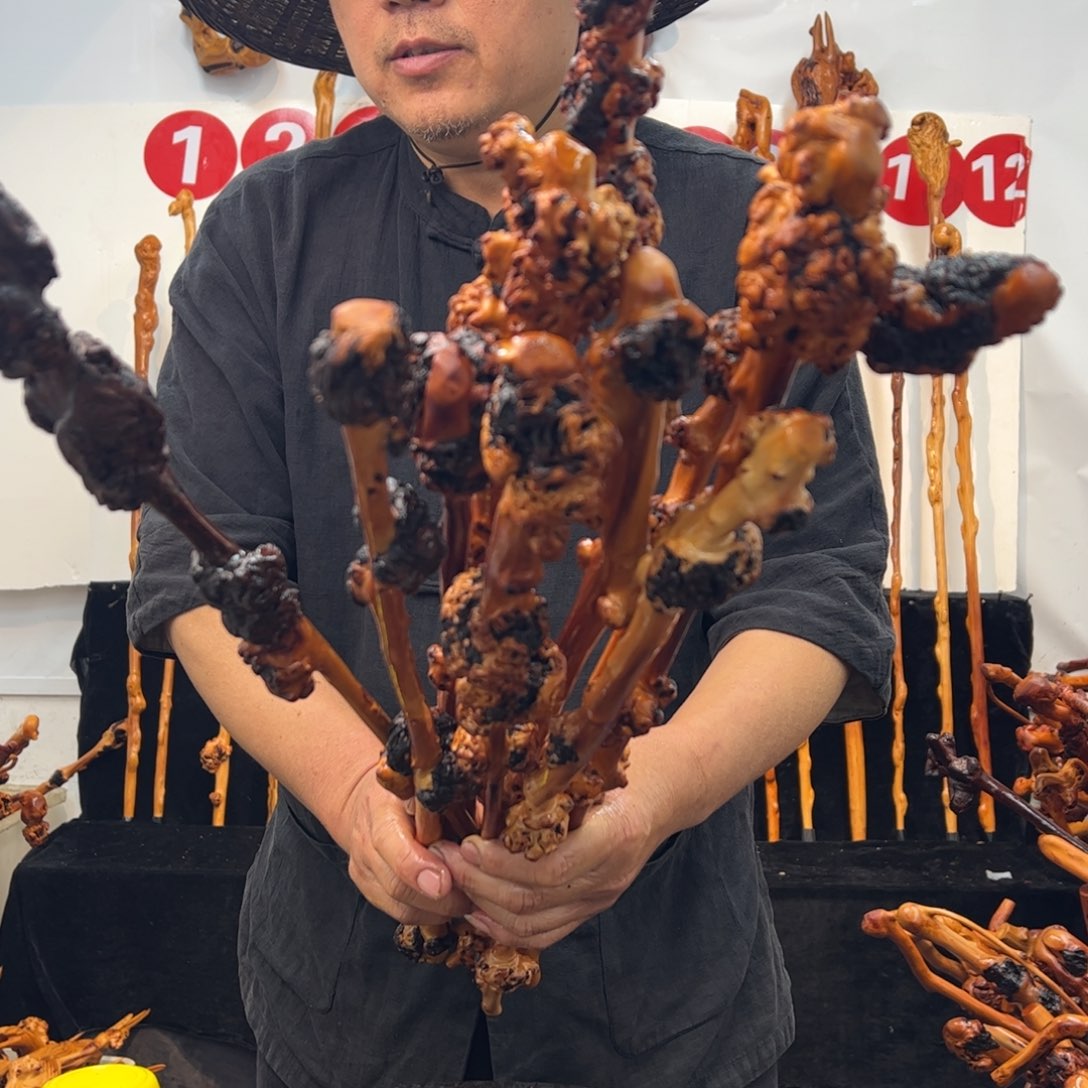 黑果木其他黑果木555