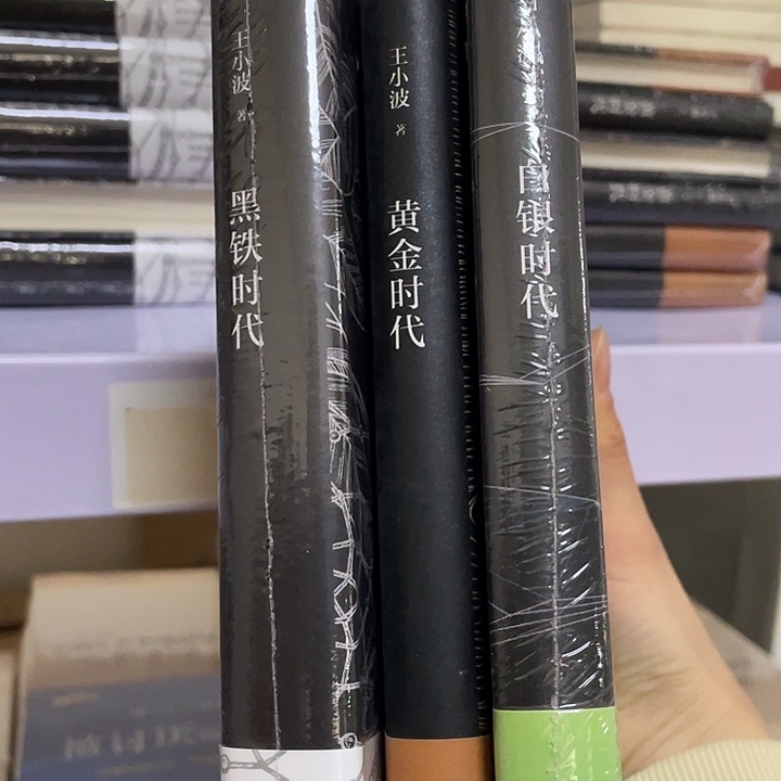 王小波3本   精装带塑封