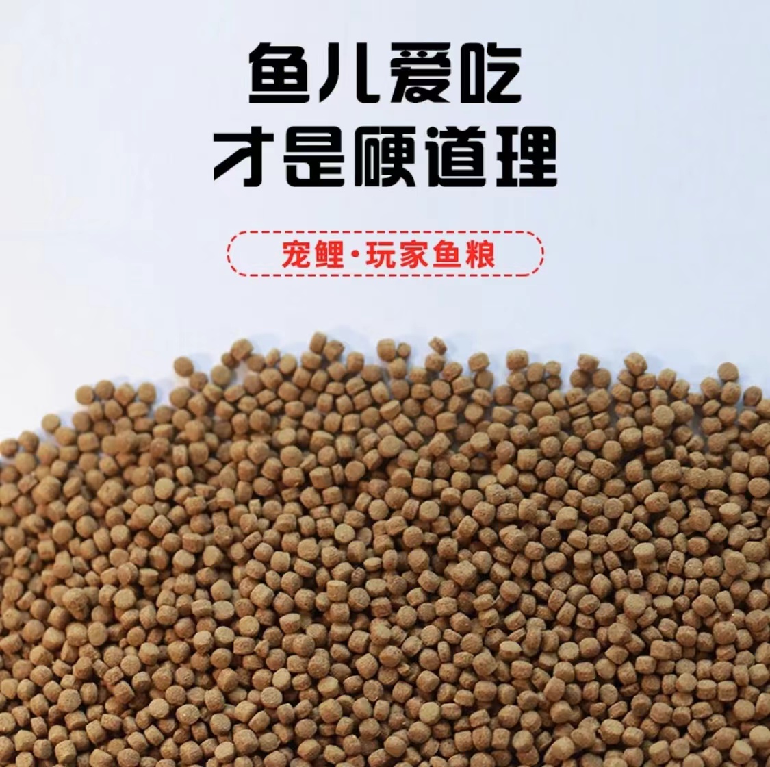 观赏鱼饲料高蛋白上浮颗粒增色发尾通用型鱼苗料