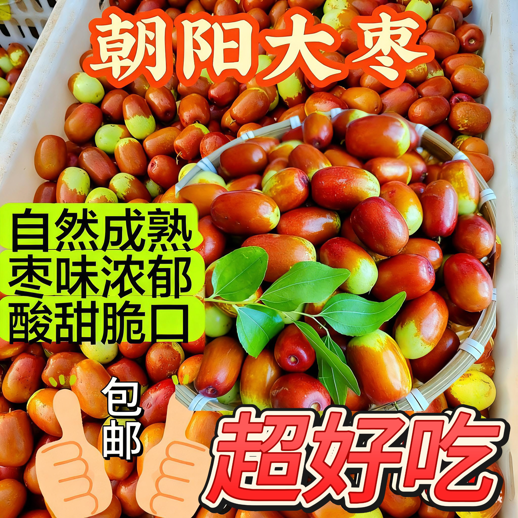 【小果专拍链接】正宗朝阳大枣现摘现发酸甜脆爽新鲜美味可生蒸两吃