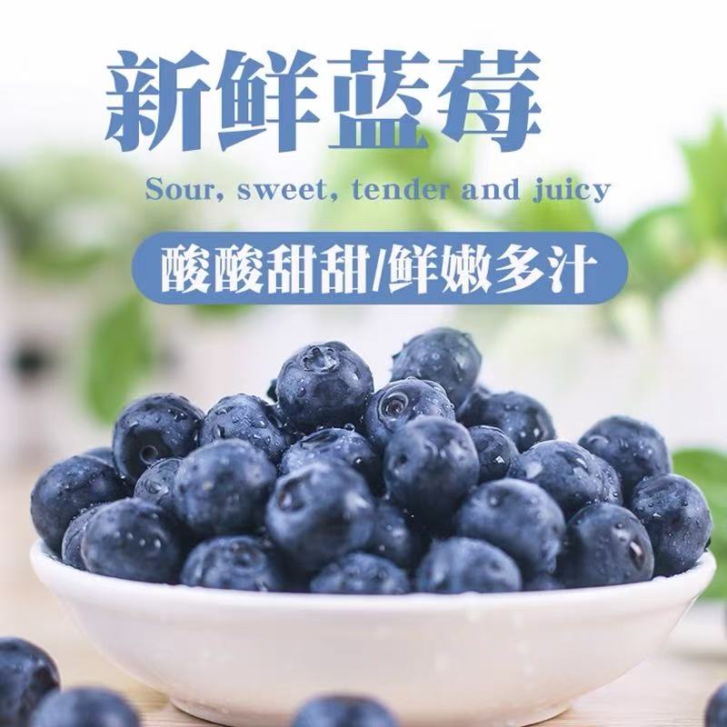长白山新鲜蓝莓，现摘现发，东北特产高寒蓝莓，500克装15加果吉林省