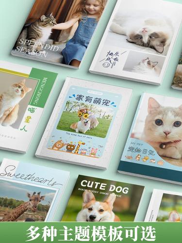 猫狗写真随笔宠物摄影集街猫拍摄艺术书籍相册照片
