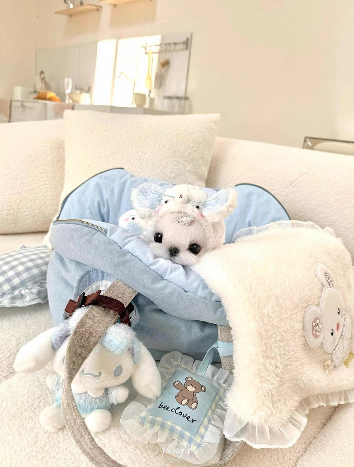 bee蓝色小熊贝壳包包宠物外出包（宠物手工定制不支持退换）