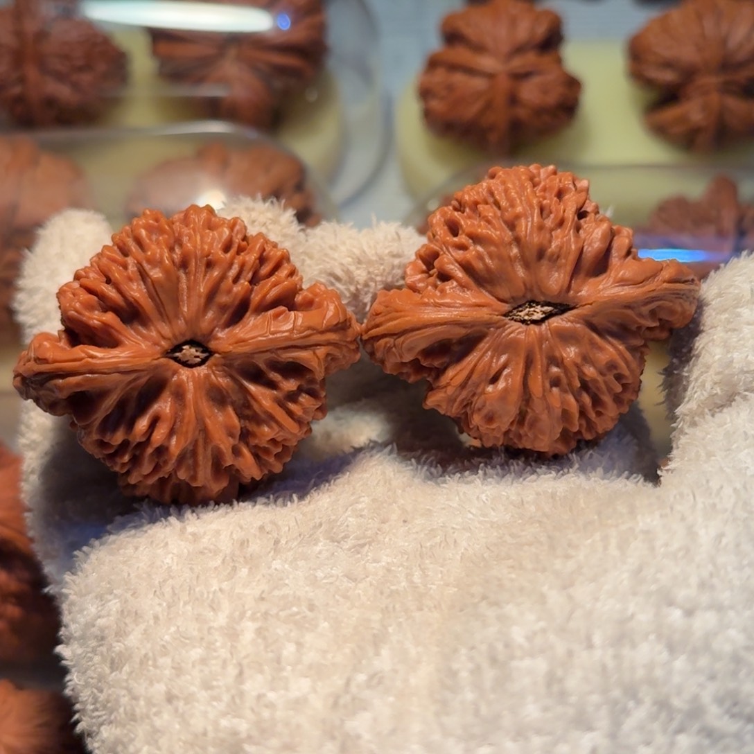 欲***酒吊坠文玩核桃50大南疆