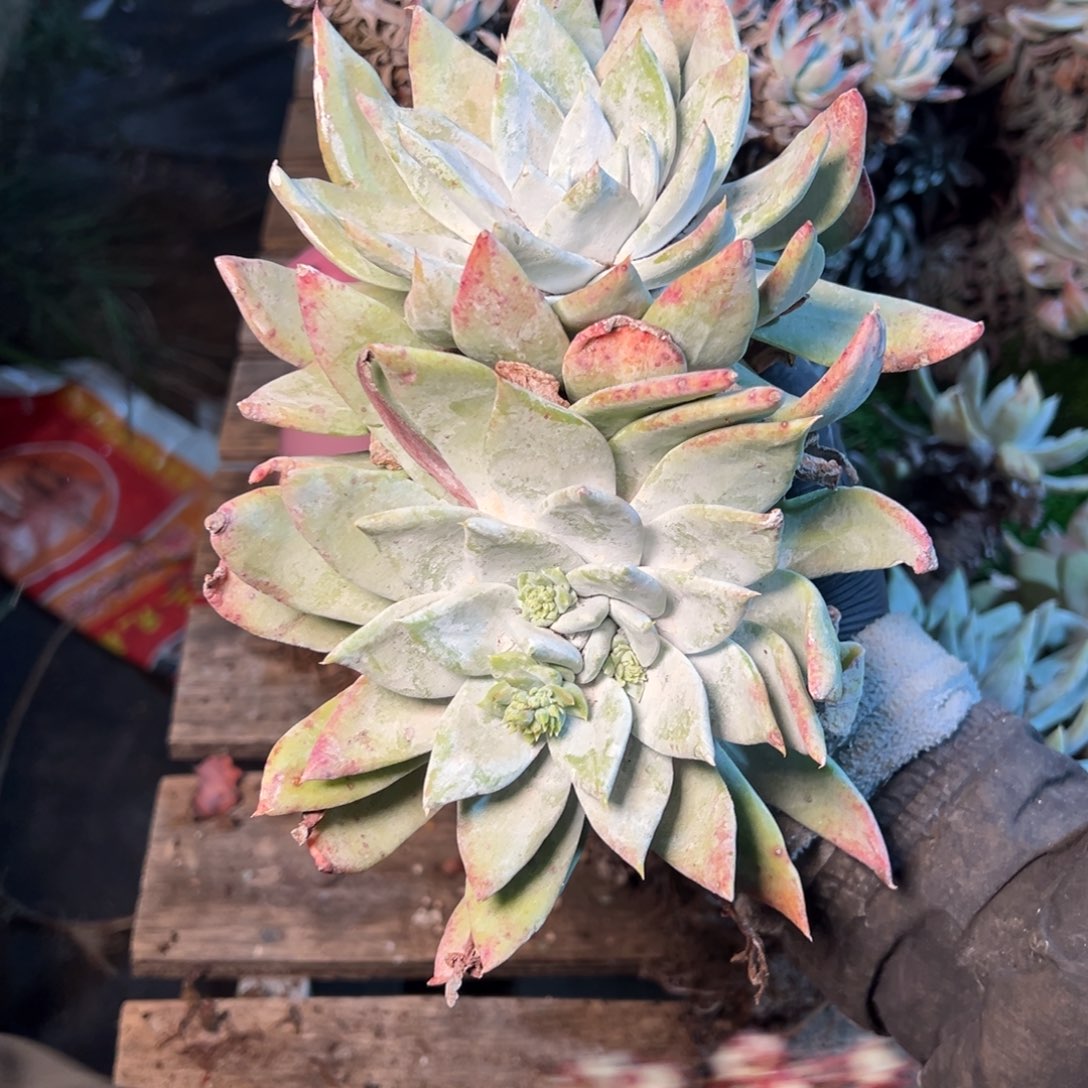 8473哈哈哈哈哈哈哈哈