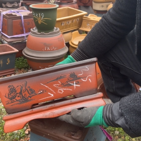 紫砂花盆紫砂花盆盆景盆栽