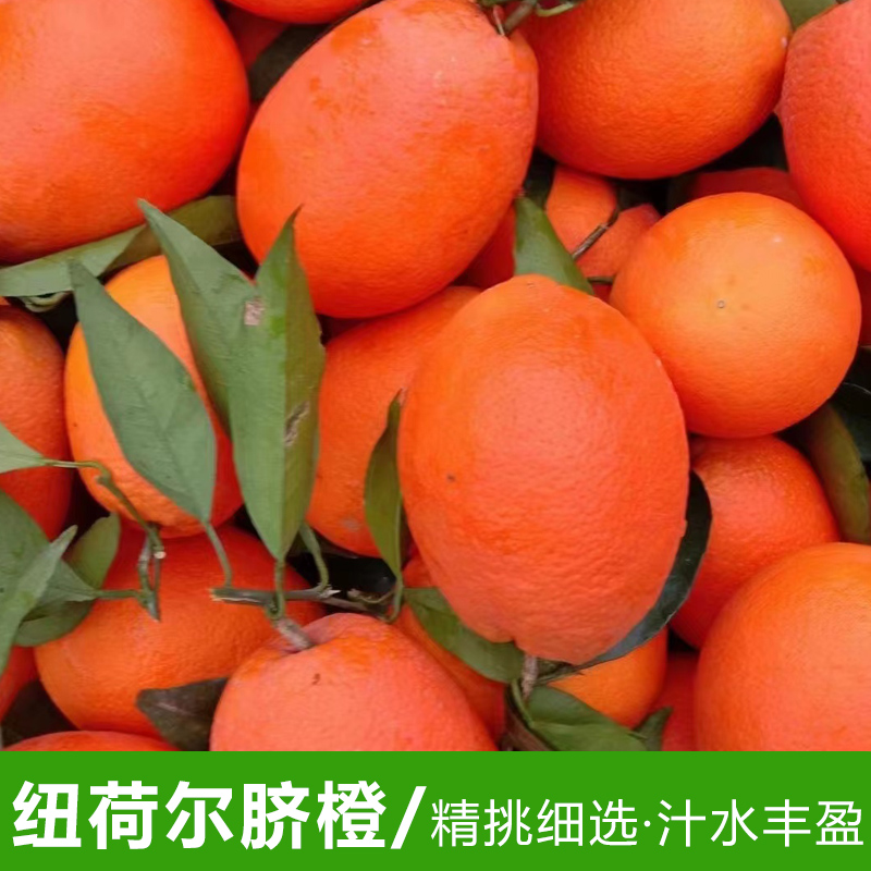 奉节脐橙10斤装新鲜应季水果香甜产地直发现摘现发