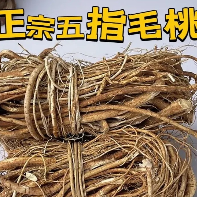 雪黛甄选【五指毛桃】