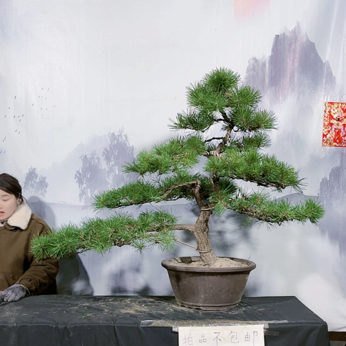 【闪购商品】运费到付