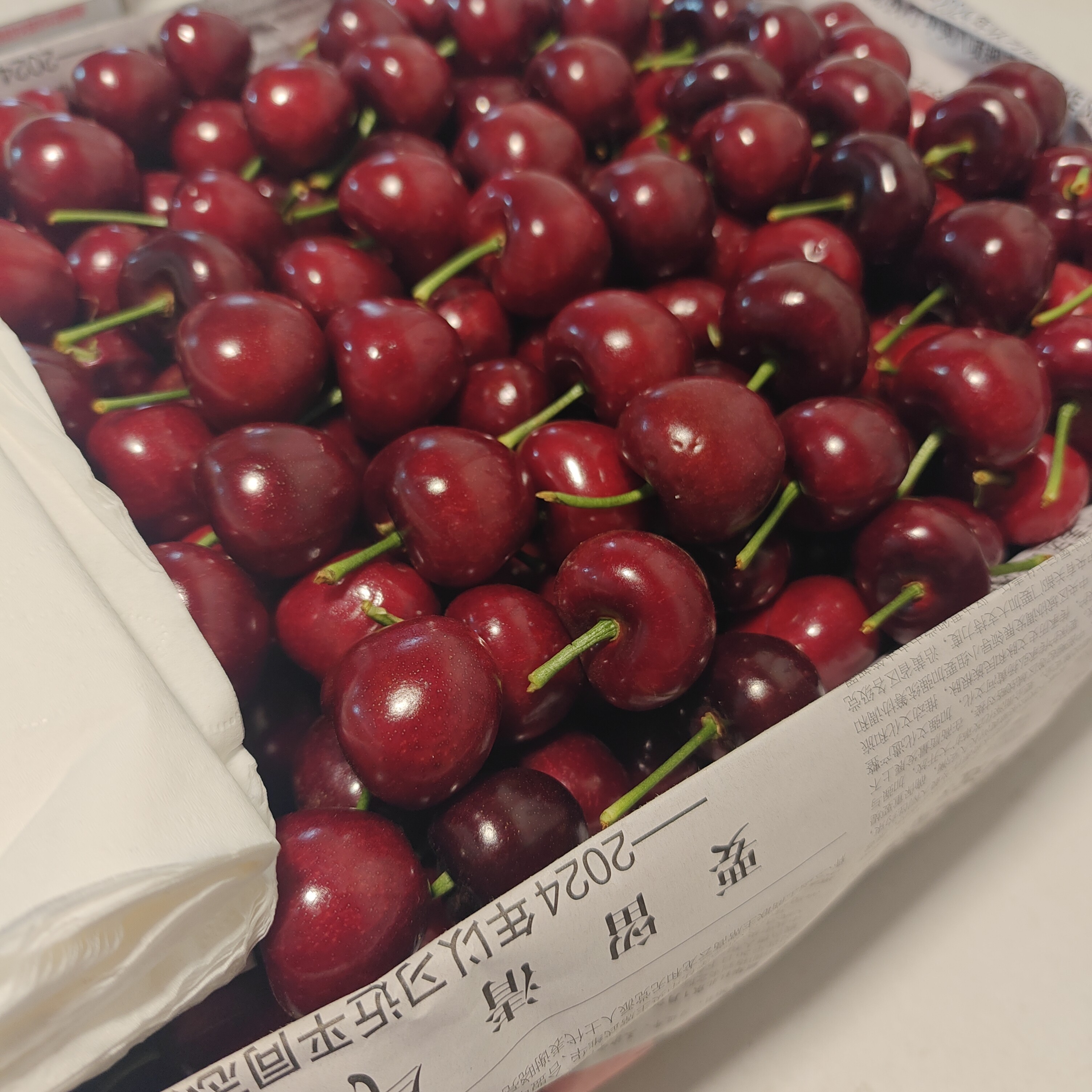 （顺丰包邮）大连美早樱桃4J，净1.5斤美早樱桃