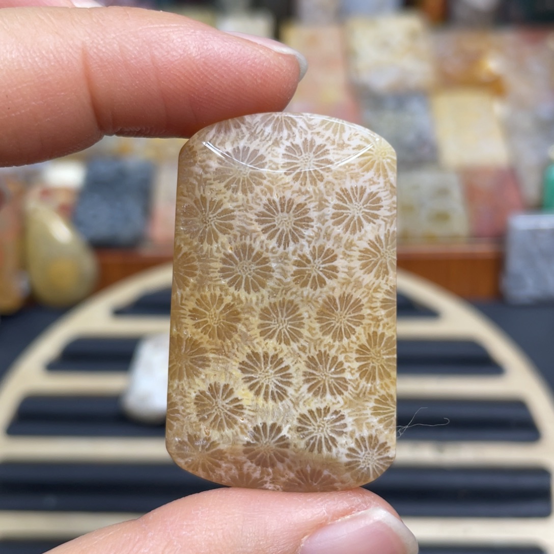 硅化玉未镶嵌颈饰k3