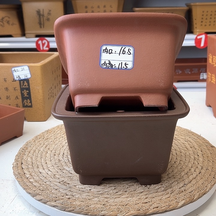 紫砂花盆蛇年大吉