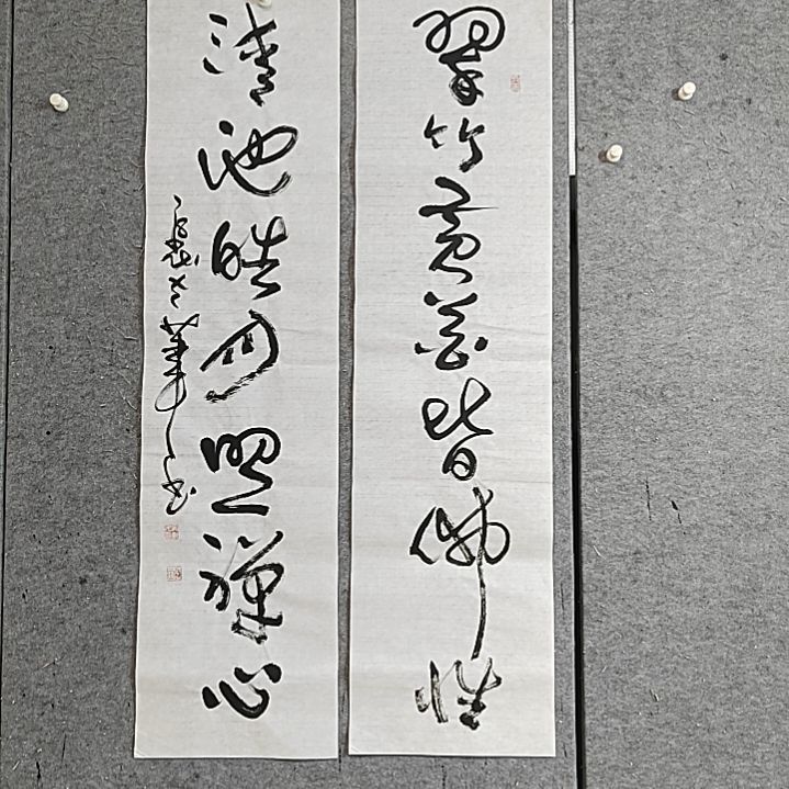 书法宋秉民书法。照禅心