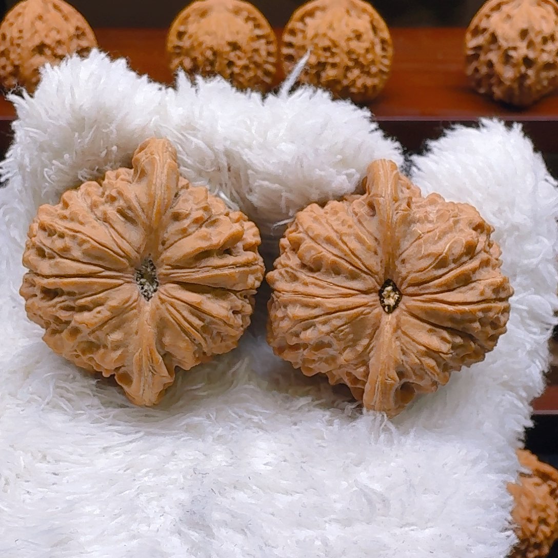 手串/手链核桃全品血麒麟43