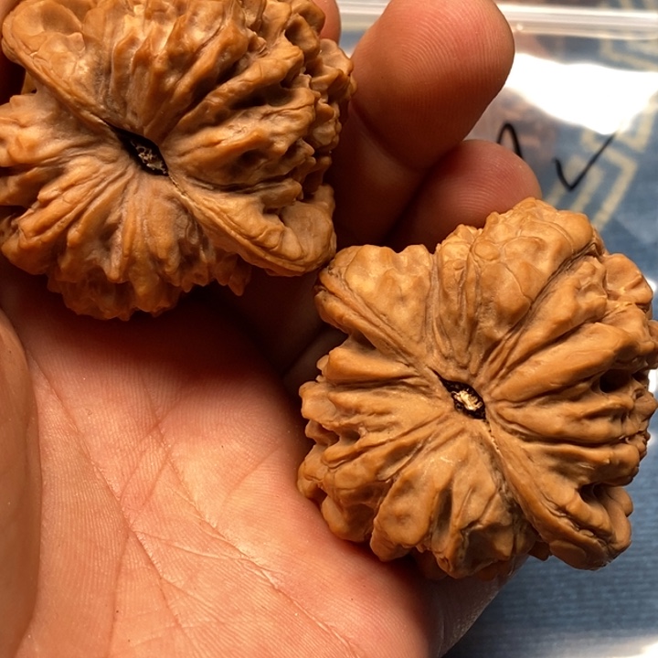 奔***霸吊坠文玩核桃龙鼎