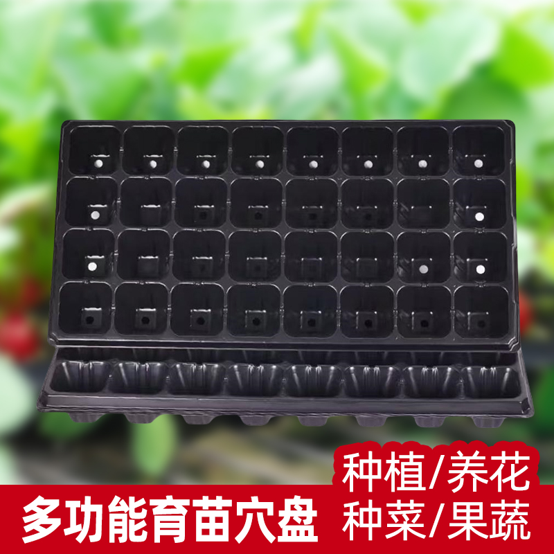育苗盘穴盘托盘玉米秧苗盘西瓜辣椒盘育苗盘秧苗托盘加厚塑料秧盘