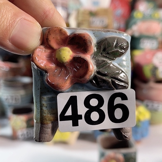 红陶多肉植物花盆