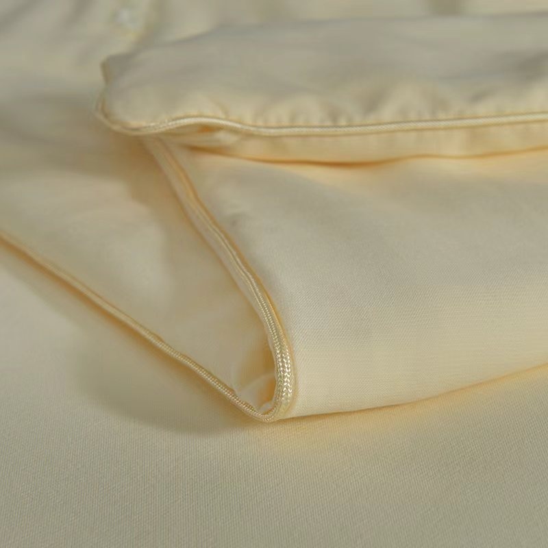 9389 亲肤舒适蚕丝被（2*2.3m）