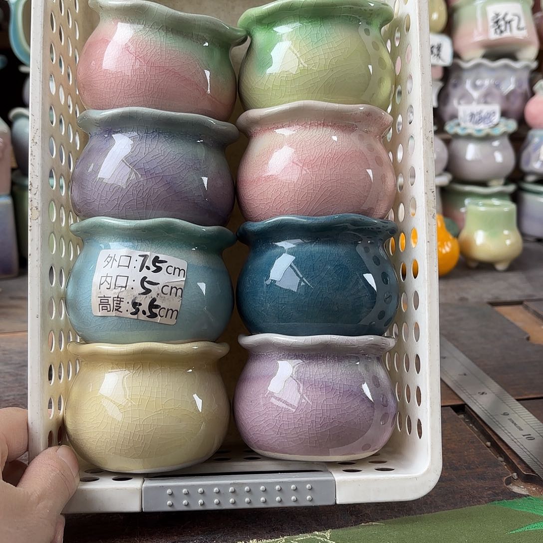 量货/5口高5.5深浅搭配发6