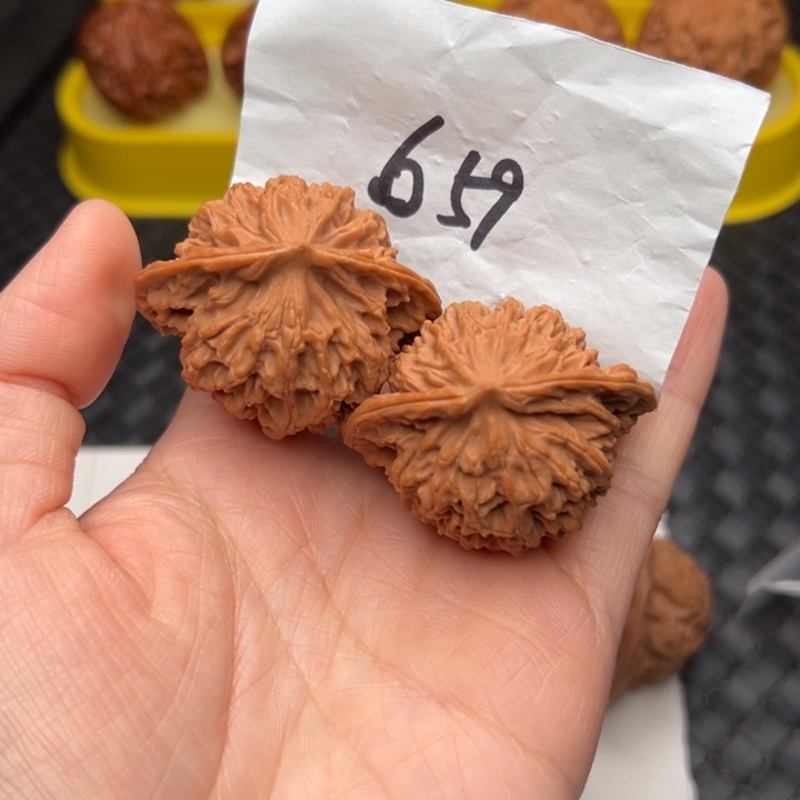 核桃44尺寸老款盘龙纹