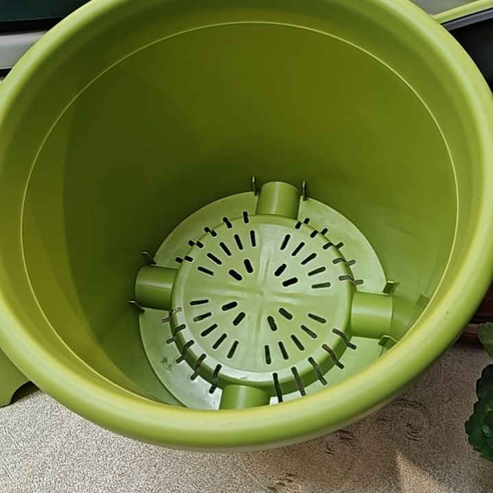 树脂四季盆外口径29，果绿无拖5个