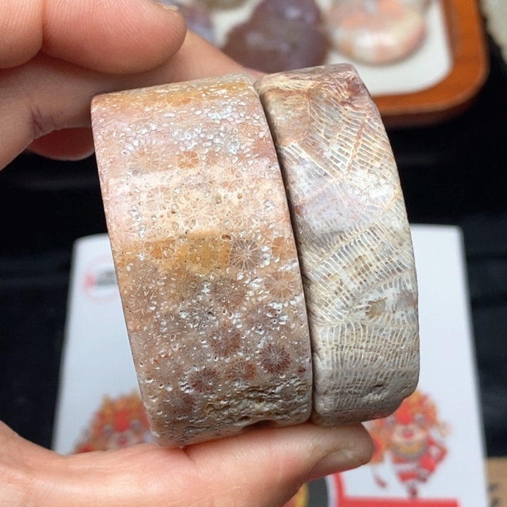 硅化珊瑚（珊瑚玉）手镯未镶嵌