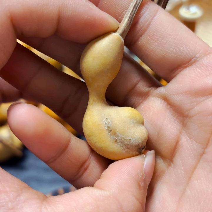 胖*~8899888888888888888