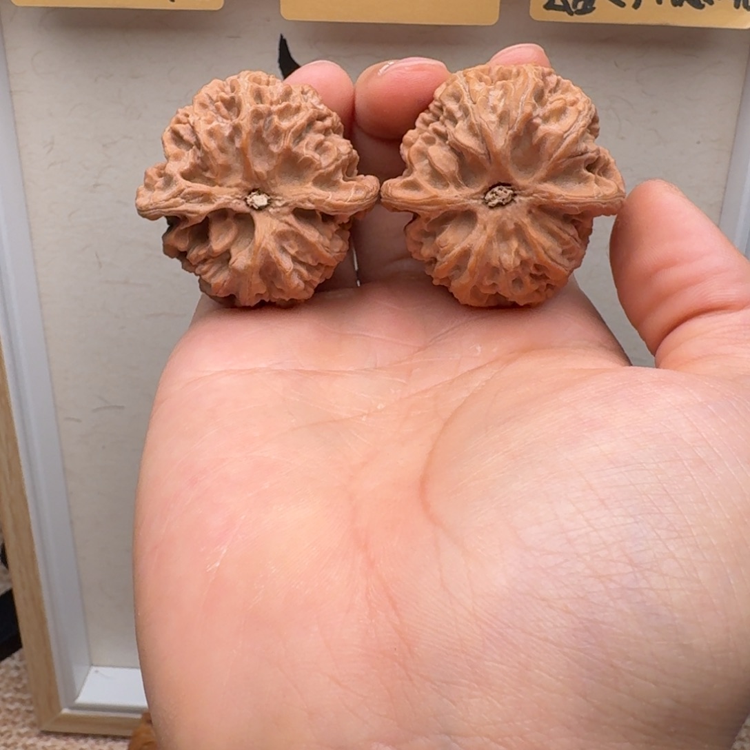 文玩核桃把件4208苹果