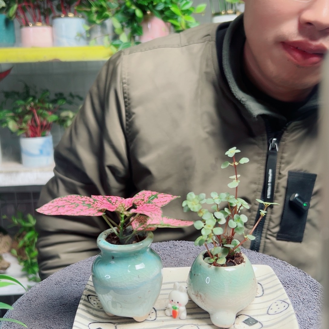 太***亮无花朵54                    