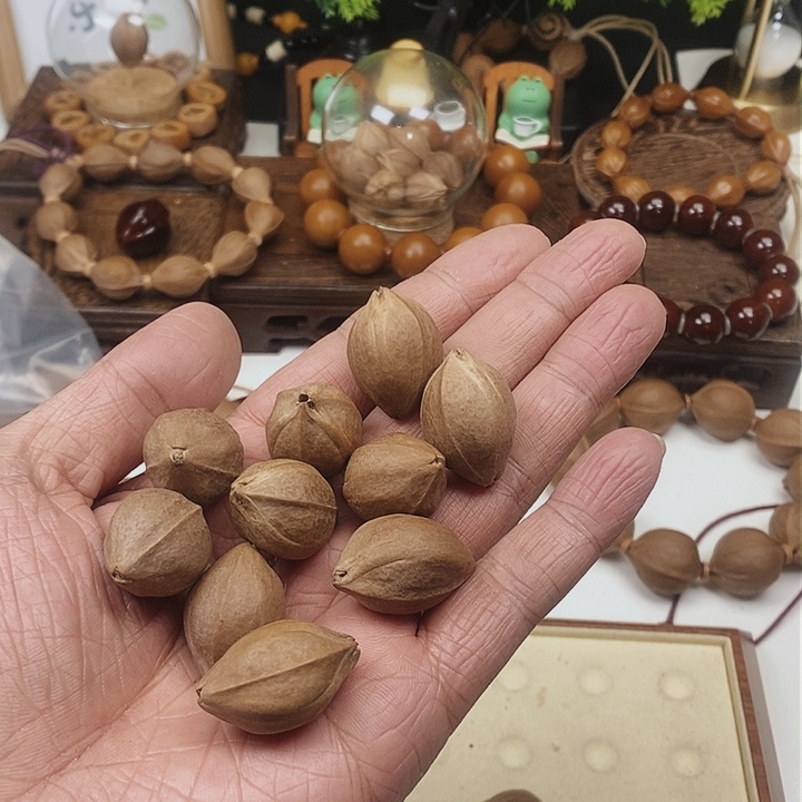 橄榄核手串梅林铁核三花18×26福利款素串