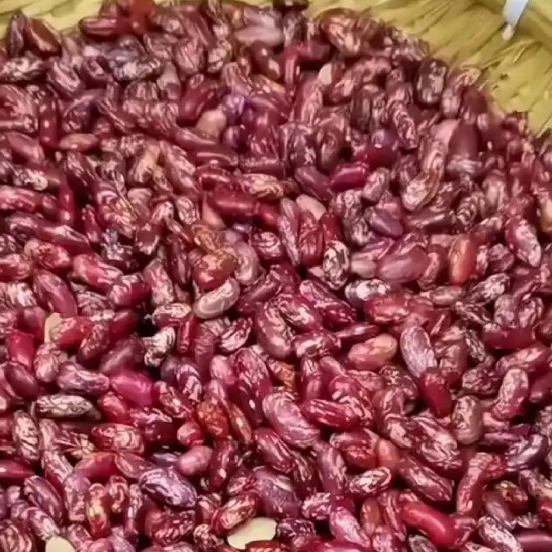 AA25年新紫花芸豆饭豆，面糊，香