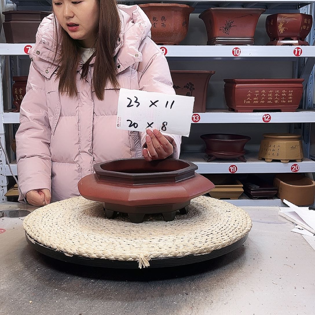花盆紫砂紫砂花盆中花