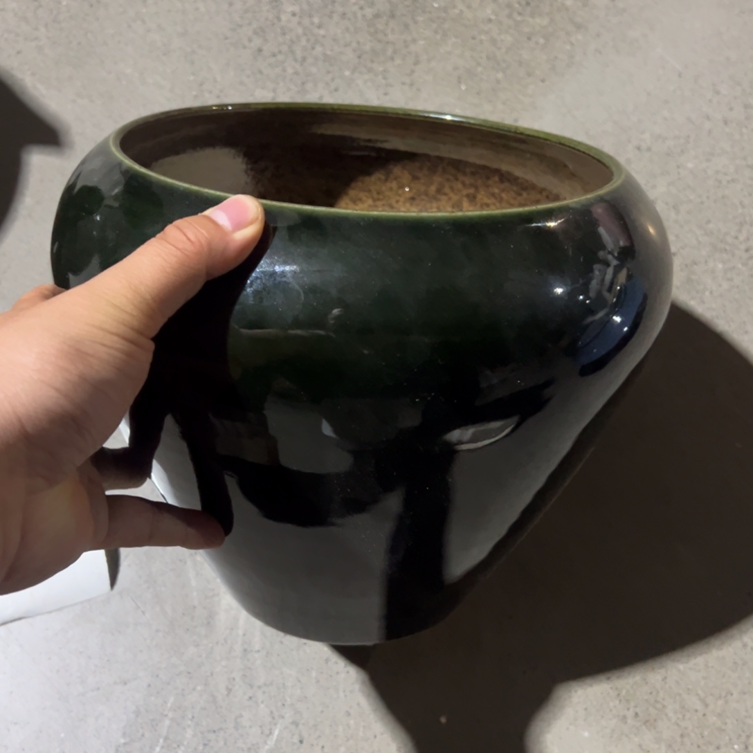 哦哦哦执照执照执照执照