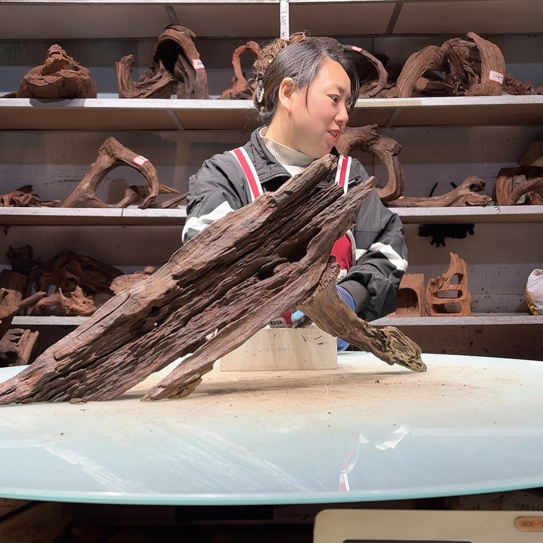 倍诸沉木不包损必褪色叁*6988