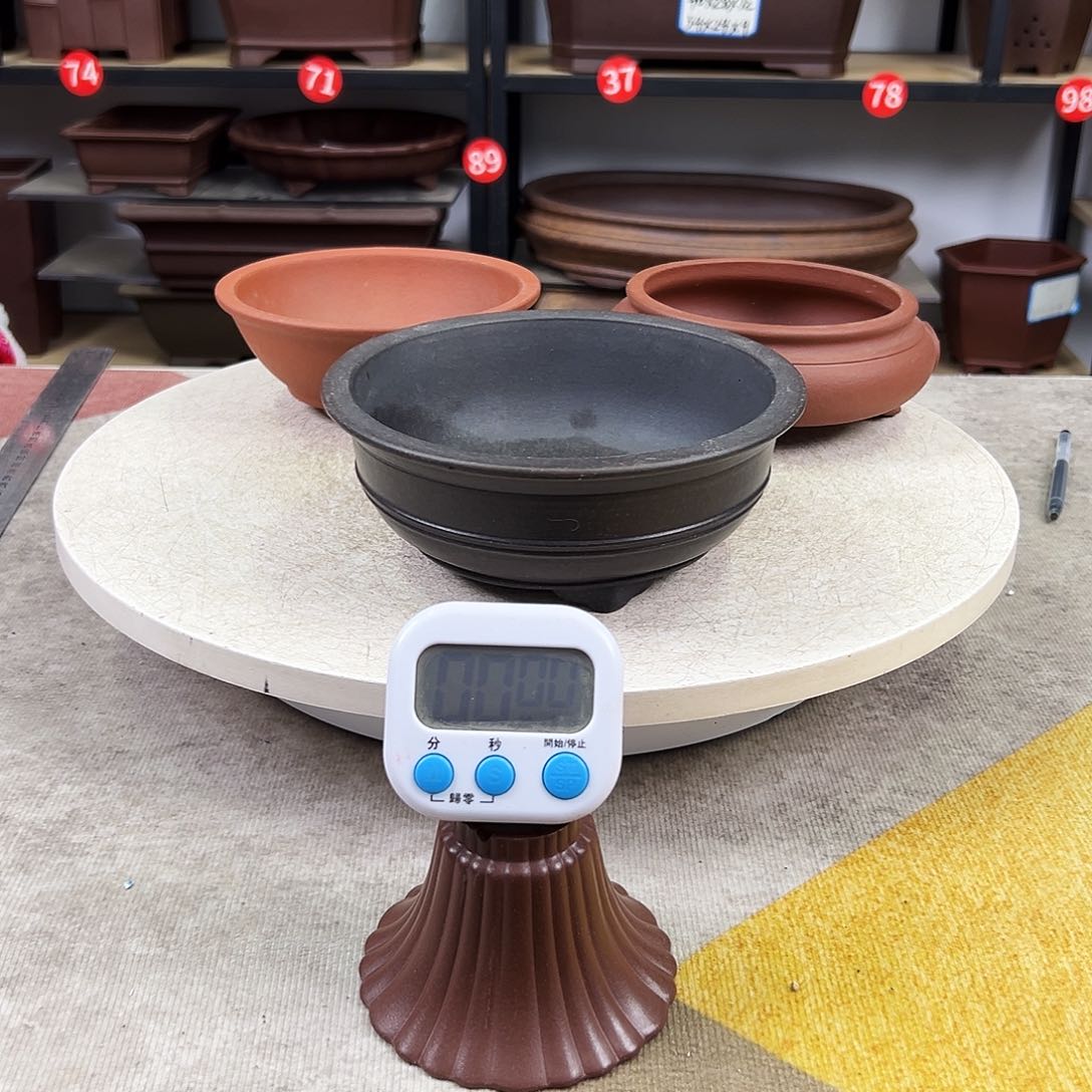 紫砂花盆尧*新年快乐