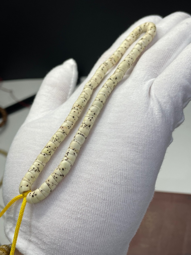 原生态6大肠 大留白 数星星 高油性 一物一图