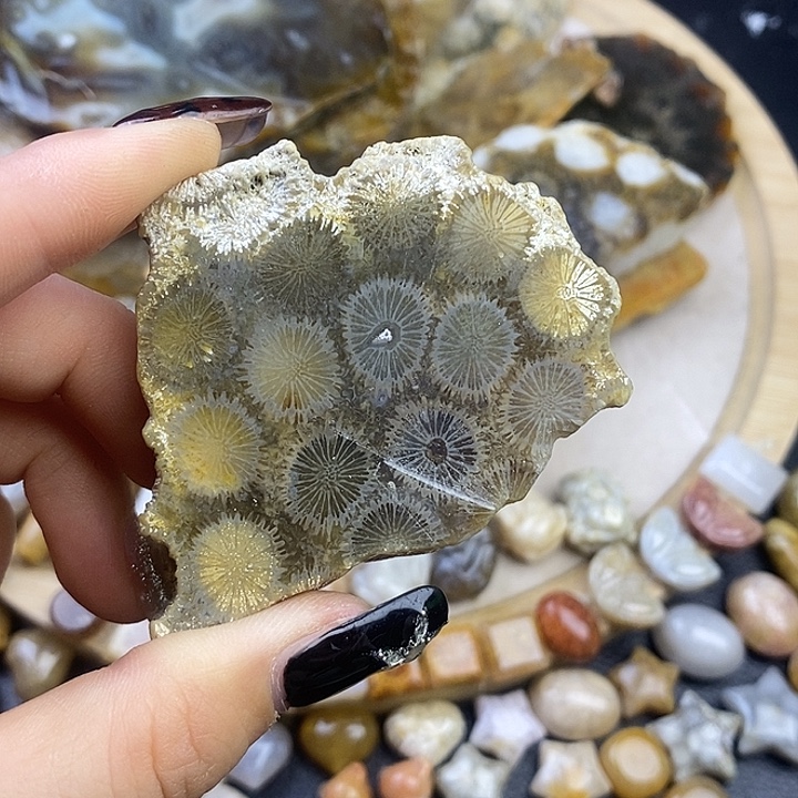 硅化玉未镶嵌颈饰10