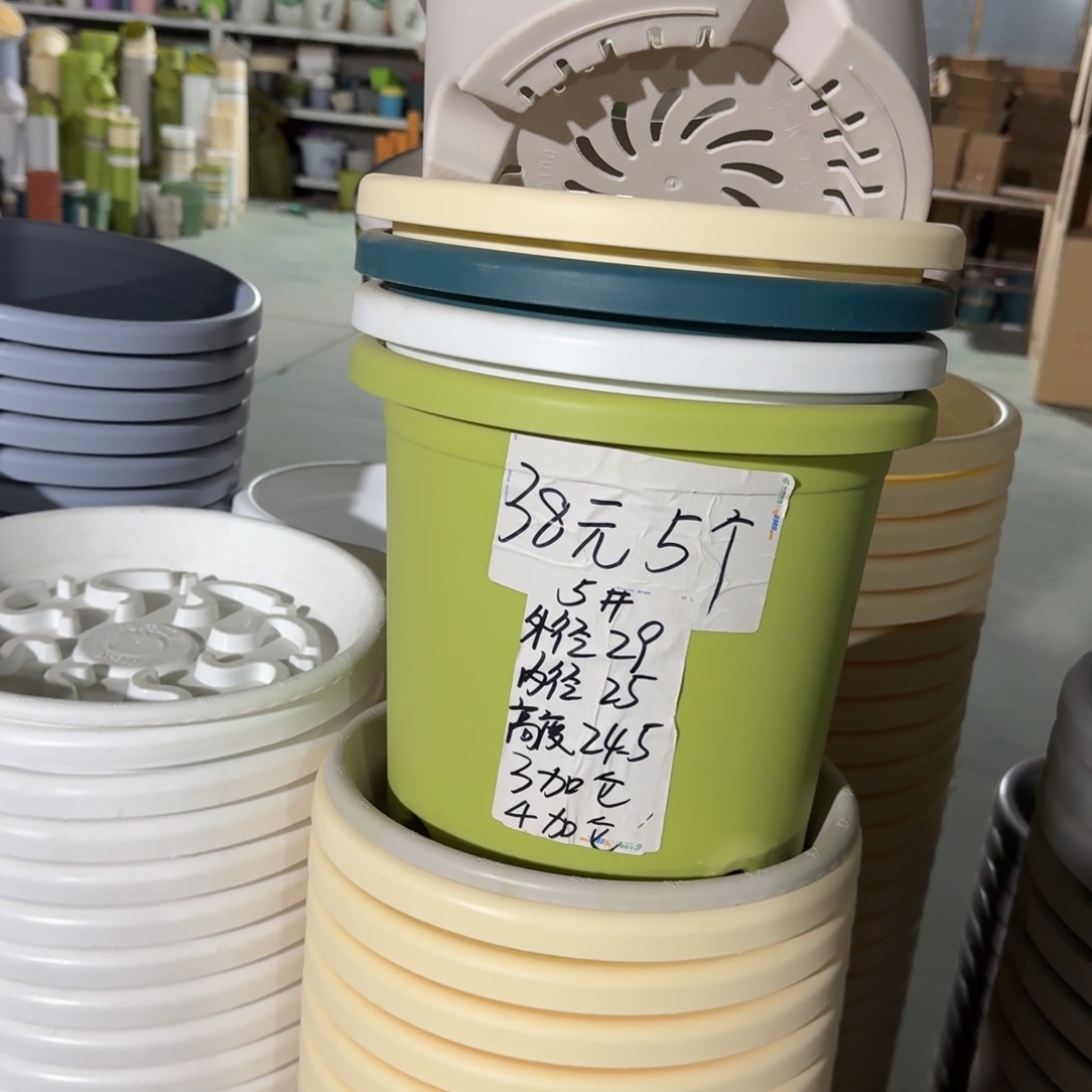 四季5#口径29高25无拖果绿10个