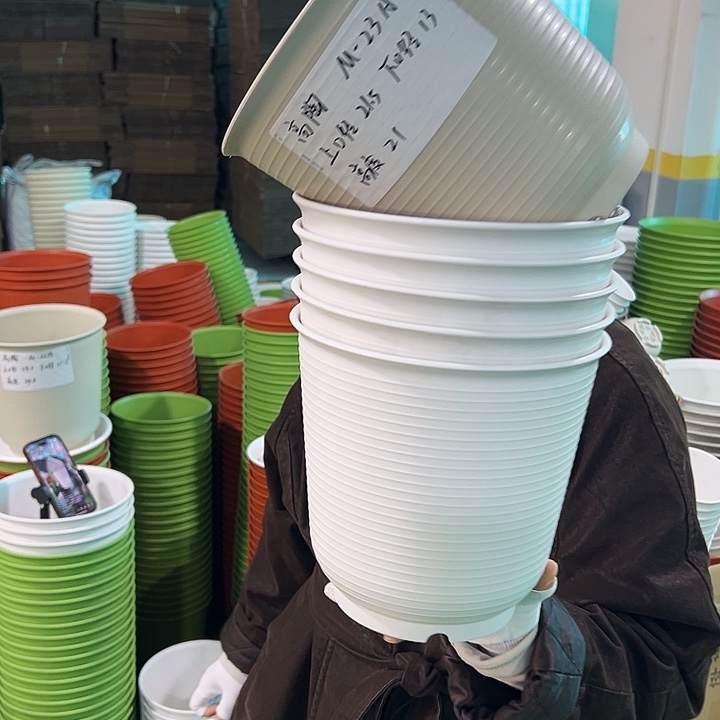 正品高陶口21高21米色无托6只