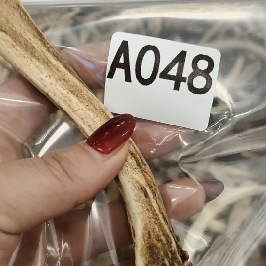 魔***主鹿角鹿角鹿角鹿角鹿鹿