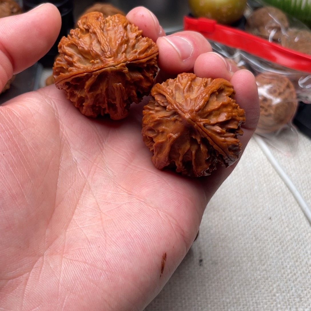 锅***生文玩核桃把件秋子四愣子