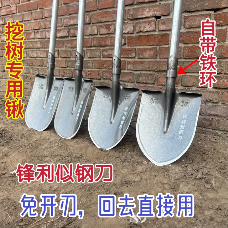 挖树神器淬火锰钢铁锹专用锹加厚王中王挖树起树锹精开薄刃带柄锹