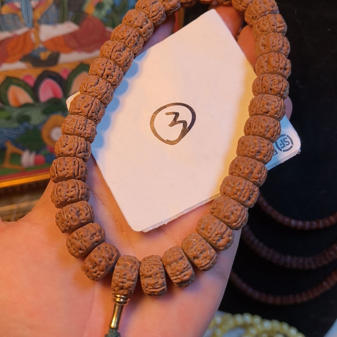 郝***人手串金刚菩提直播老树王手持 14 一图一物