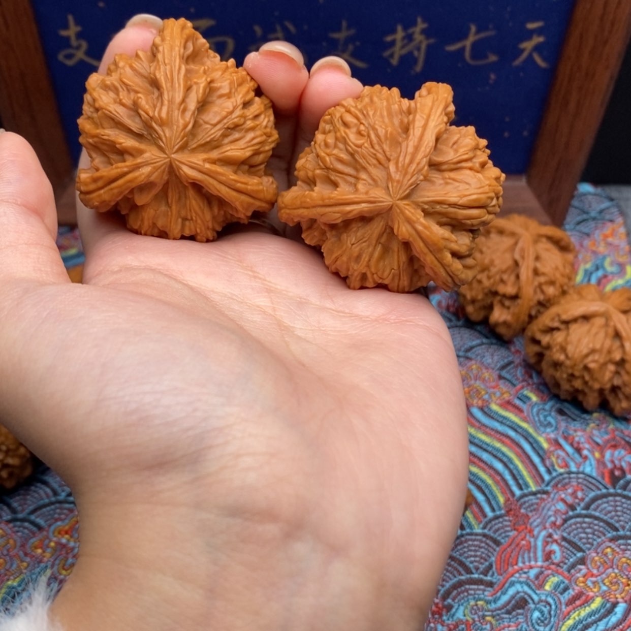 【闪购商品】陳*生白狮