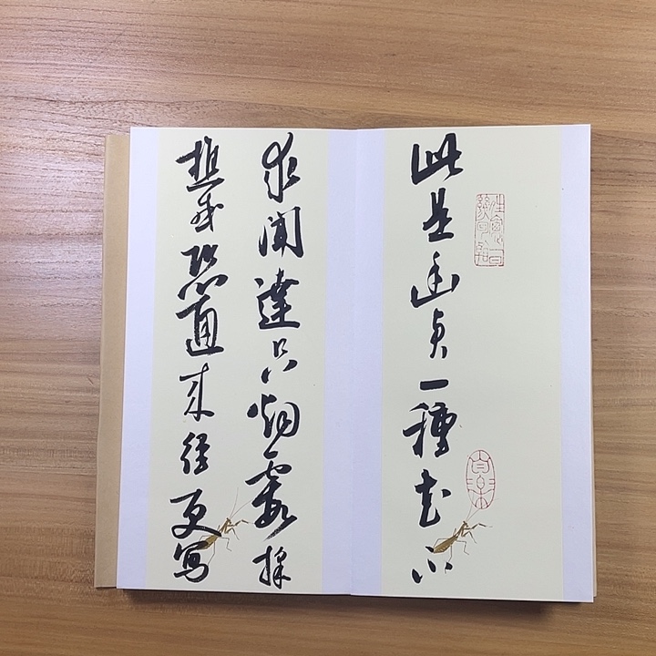 书法中书协老师岳广军